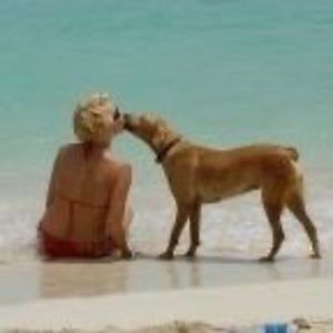 Meet your Posher, Trisha